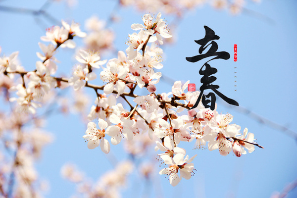 今年迎氣始，昨夜伴春回