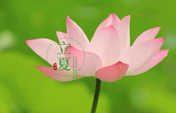 日斜湯沐罷，熟練試單衣
